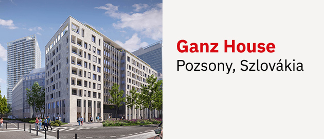 Ganz House